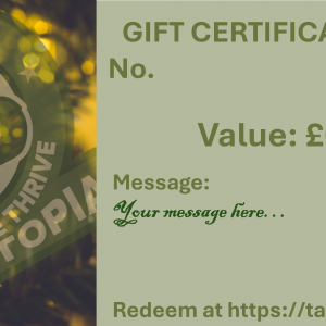 Christmas Design Gift Certificate